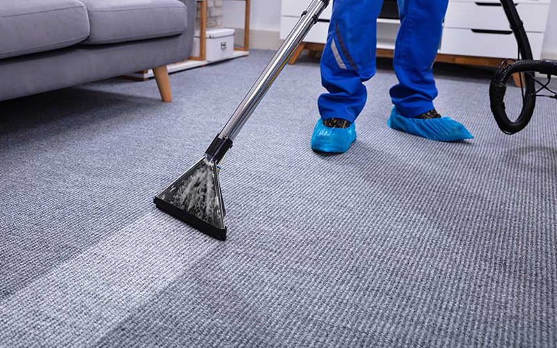 Professional cleaner using a carpet cleaning machine on a grey rug in a modern living room.
